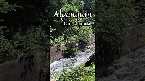Algonquin Splash Dam