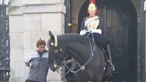 Can I touch the horse OH SH.T #horseguardsparade