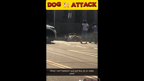Road aware dogs attacked the man and saved his life. Police shot the dogs. Watch the full video.