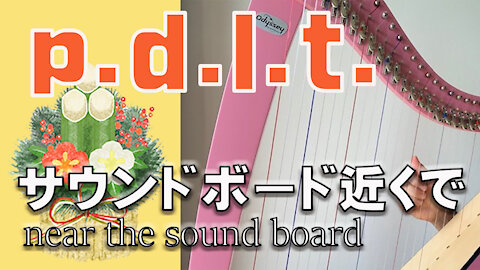 【p.d.l.t.】Harp Techniques