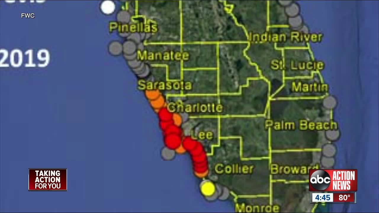 Wildlife officials give update on red tide in FL's west coast