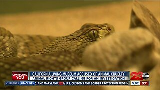 Calm accused of animal cruelty