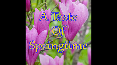 A Taste of Springtime