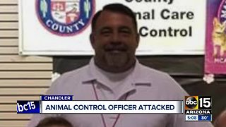 Animal control officer attacked in Chandler, dog shot and killed