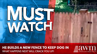 Guy Builds Brand New Fence For His Dog, Now Watch As The Camera Slowly Pans Right