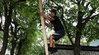 Jovem sobe escadote sem apoio e faz mortal de árvore