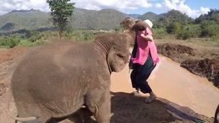 Baby Elephant Pushes Girl Into Watering Hole!