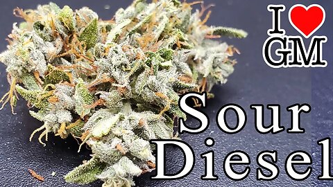 Sour Diesel from ILGM | My Own Harvest