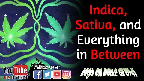 Indica, Sativa, and Everything in Between | Cannabis News | Episode 133