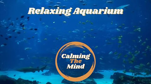 5 Hour Aquarium | No Sound | Screensaver | Sleep Aid