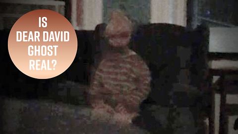 The Dear David Ghost Story: A skeptic's breakdown