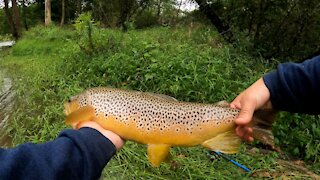 Big Fishing Creek Has Some Huge Trout