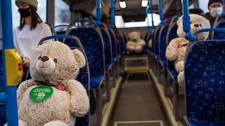 Finnish City Uses Teddy Bears To Enforce Social Distancing Guidelines