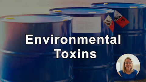 Top Risk Factors For Environmental Toxins - Aly Cohen, MD