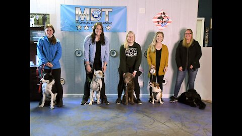 Therapy dogs graduate from training & read for work at Novi Public Schools