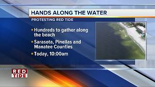 Hands Along The Water rallies dotting beaches statewide