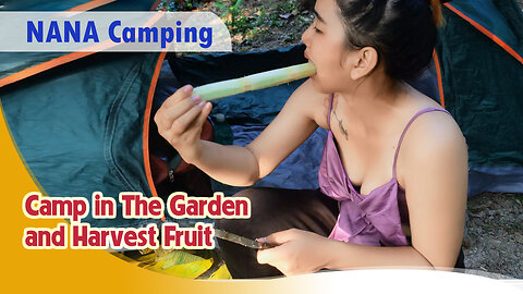 Camp in The Garden and Harvest Fruit | NANA Camping