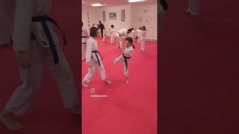 Kicking & Jujitsu (Jiu-Jitsu / Jujutsu) • Yoko Geri Side Kick #jujitsu #karate #martialarts