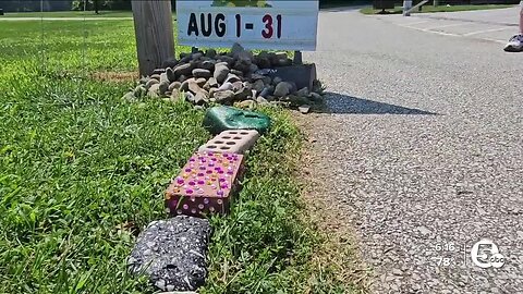 City of Willoughby on mission to grow painted rock snake 'Ozzy' at Osborne Park