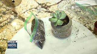 Plant People add 'to go' planter kits