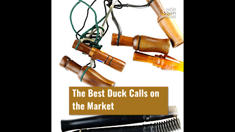 The Best Duck Calls on the Market
