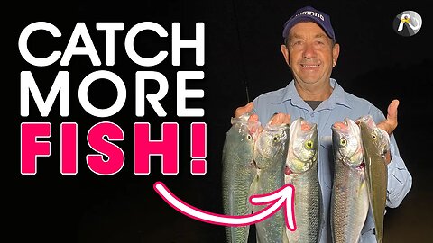 50 Mins, 5 Fish, 3 Species: How I Seize Opportunities for Beach Fishing!