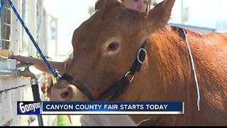 Canyon County Fair begins today