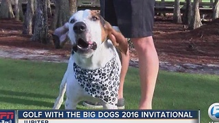 Golf with The Big Dogs 2016 Invitational