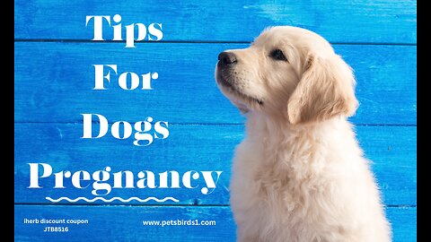 How long are dogs pregnant | Pregnancy symptoms in dogs #pets_birds #pregnant_dogs #dogs