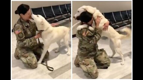 Ecstatic Dogs Welcome Home Their Owners After Being Away |Dogs Welcoming Soldiers Home