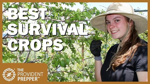 Best Crops to Grow in a Survival Garden