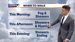 Walking the dog forecast