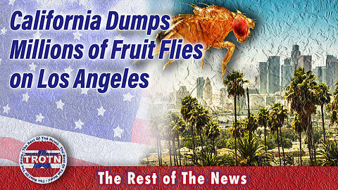 California Dumps Millions of Fruit Flies on Los Angeles
