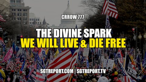 THE DIVINE SPARK: WE WILL LIVE FREE & DIE FREE