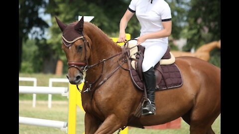 Elegant Horse Riding Competition Part 2