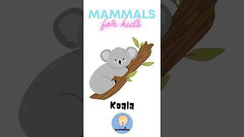 Mammals for kids | Talking Flashcards | Animals