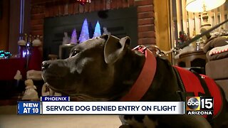 Service dog denied entry on flight