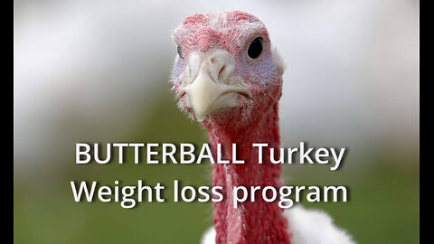 Turkey Weight Loss program