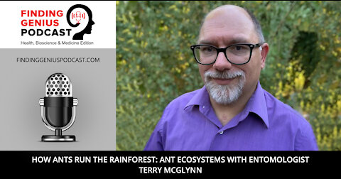 How Ants Run the Rainforest: Ant Ecosystems with Entomologist Terry McGlynn