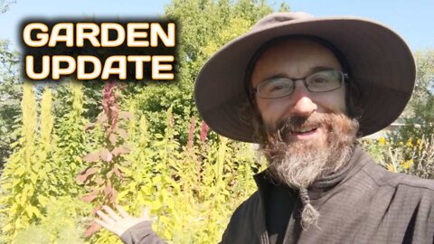 Garden Update - September 5th 2022