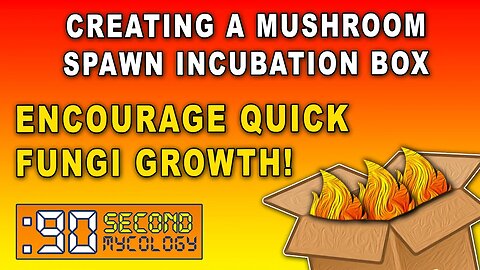 Creating a Mushroom Spawn Incubation Box \\ Encourage FAST MYCELIUM GROWTH!