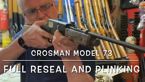 Crosman model 73 co2 lever action pellet/BB gun full rebuild and plinking