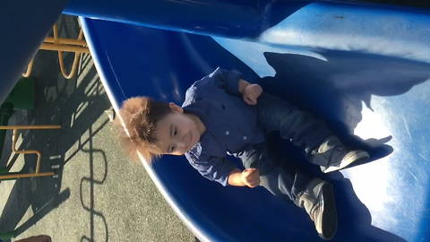 "Kid Gets Static Hair On The Slide"