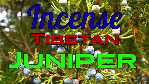 Tibetan Juniper Incense - Northern Star Products