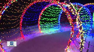 WPS Garden of Lights at the Botanical Gardens