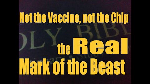 Not the Vaccine, not the Chip, did you take the REAL Mark of the Beast?