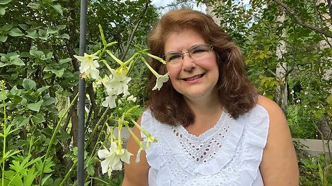 Jasmine Tobacco Flowers: Nature's Enchanting Gift // Gardening at the Simongetti North