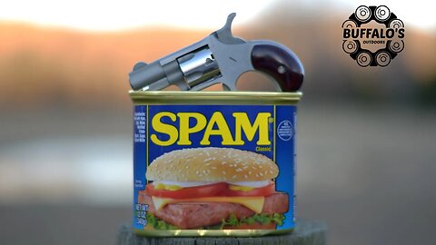 TINY REVOLVER vs SPAM 🍔