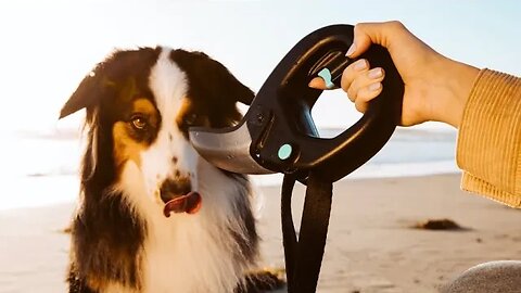 Top 05 pet gadgets are truly worth buying in 2023? || Gadgets Hub