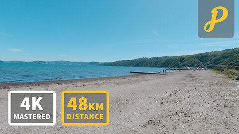 Spring Serenity: Gravel Bike Journey from Upper Hutt to Pito-one's Waterfront [4K Preview]